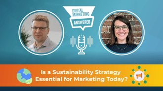 Sustainable Marketing Strategies: Expert Insights 