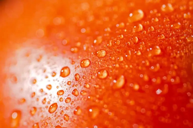 innovation-visual-revops-transformations-concept-abstract-fresh-tomatoes-macro