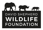 DSWF LOGO