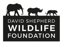 DSWF-logo