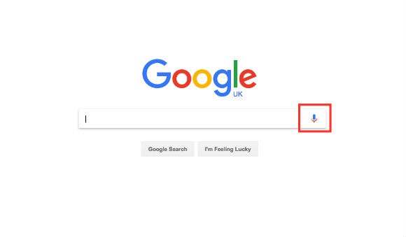 Google voice search option