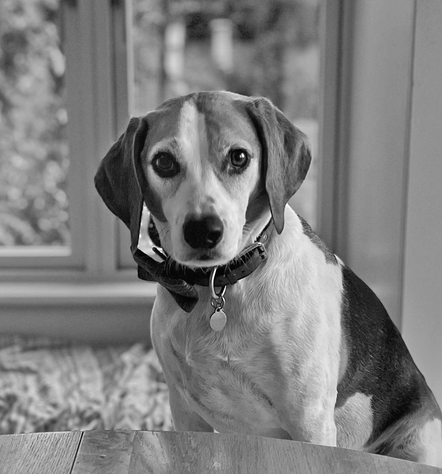 20250228-Murphy-Headshot-Website