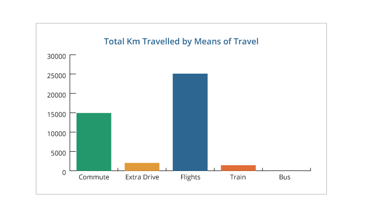 Bar-Graph-displaying-Total-km-travelled-by-means