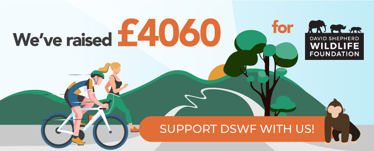 Innovation Visual Godalming To Guinea Fundraising for David Shepherd Wildlife Foundation Challenge Success graphic 'We've raised £4060'