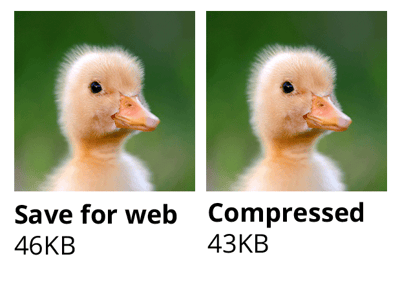 Innovation Visual looking at optimising images explores image compression – Test 2