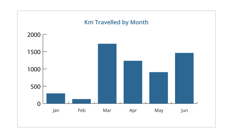 Innovation Visual team travelling distance by month graph.