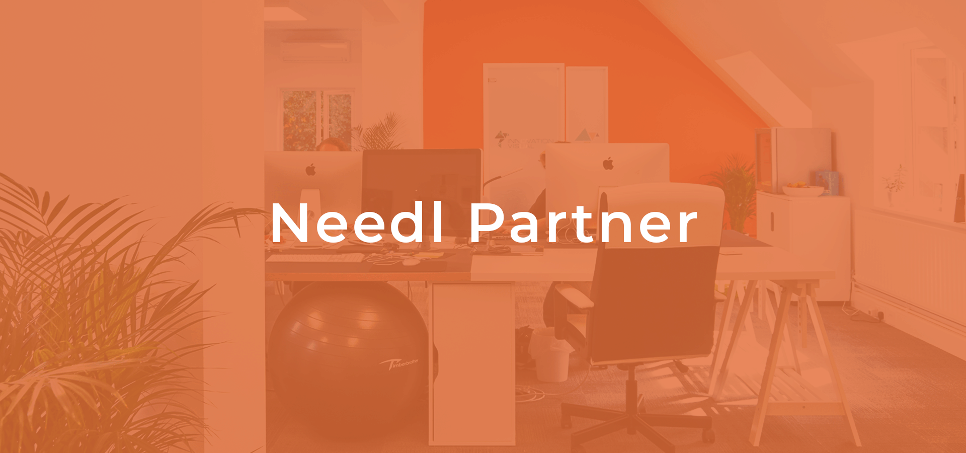 Innovation-Visual-Needl-Parnter-Banner