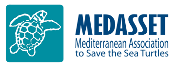 Medasset-logo