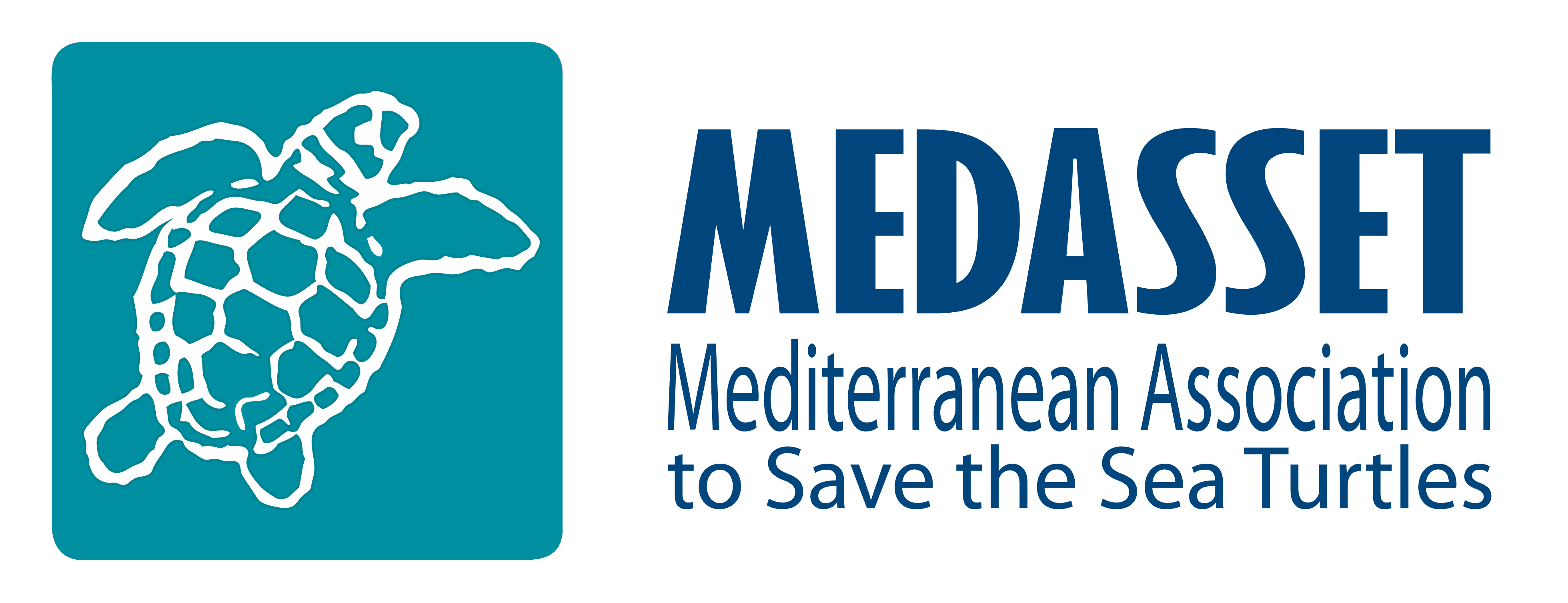 Medasset-logo