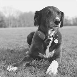 Meet-The-Innovation-Visual-Digital-Marketing-Team-Poppy-Butler