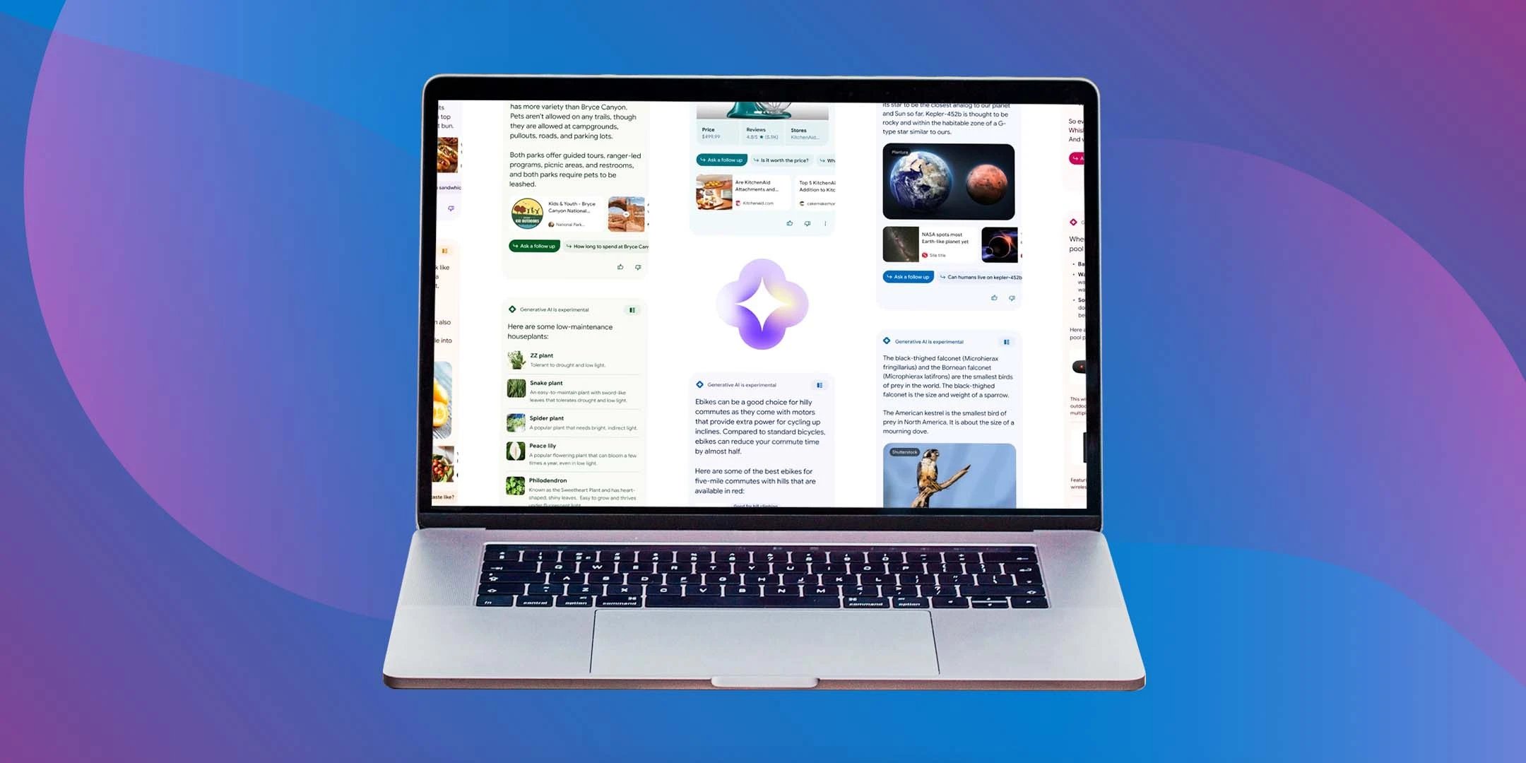 SGE-Search-Generative-Experience