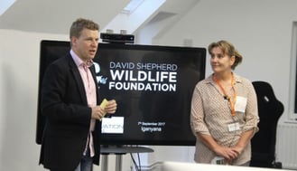 david shepherd speaking about the painted dog