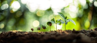 Customer Retention: The Essential Growth Strategy for 2025