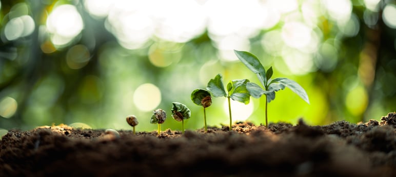 Customer Retention: The Essential Growth Strategy for 2025