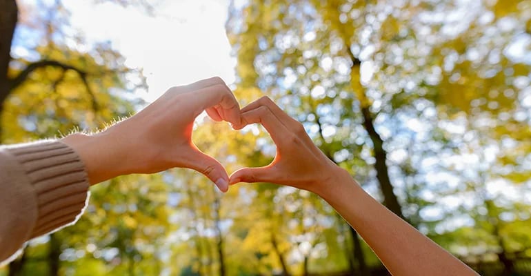 Hand hearts in green environment