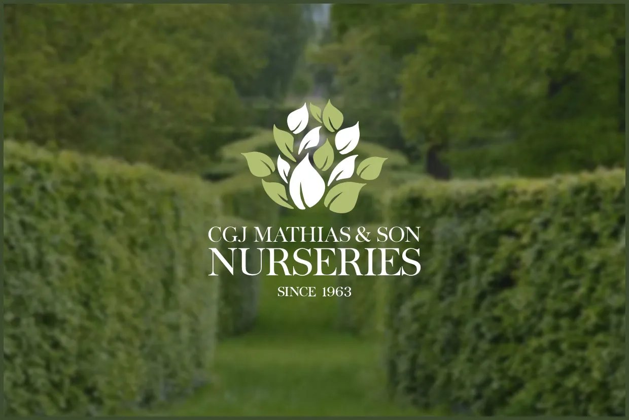 Innovation Visual client Mathias Nurseries logo overlaid over hedgerows