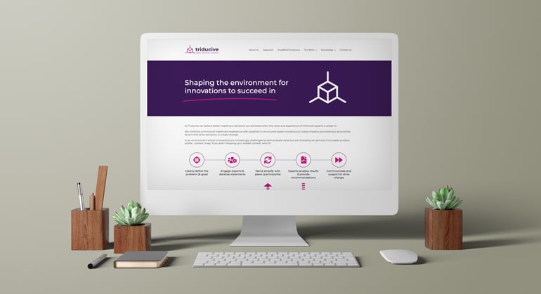 Innovation Visual's digital marketing client Triducive's website on desktop