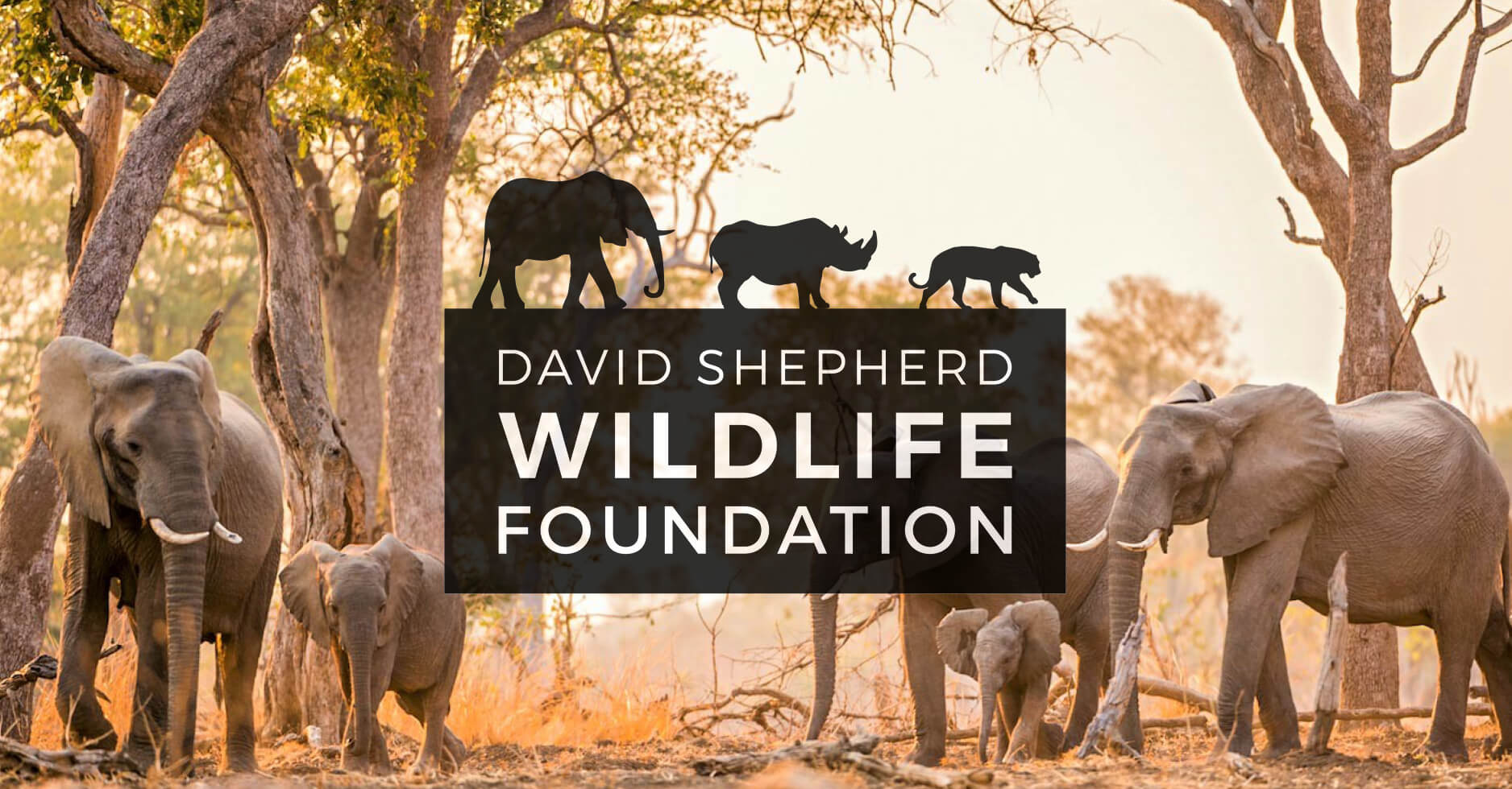 David-Shepherd-Wildlife-Foundation-Logo