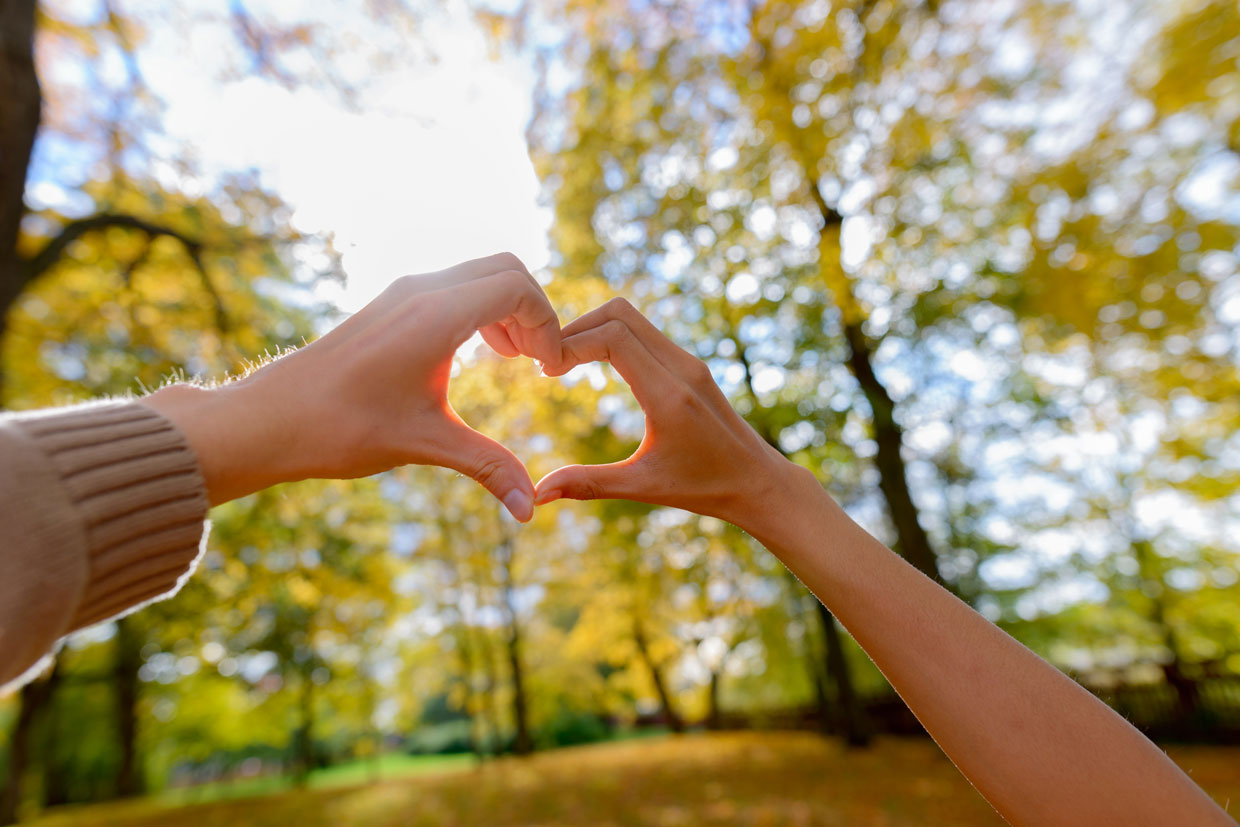 Hand hearts in green environment