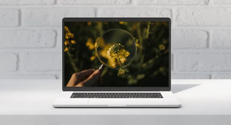 magnifying glass over plant research concept on laptop screen